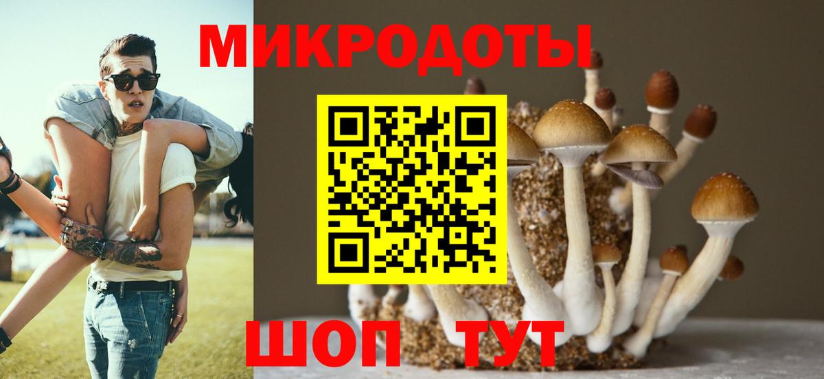 Псилоцибиновые грибы Magic Shrooms Новоалтайск